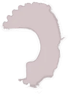 Rodas-guia Caterpillar