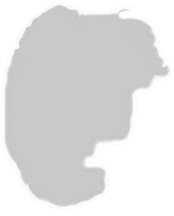 Roda motriz Caterpillar