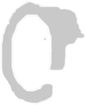 Mola tensora de esteira